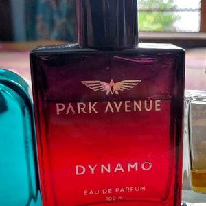 Dynamo Edp