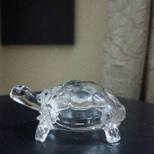Glass Turtle For Show