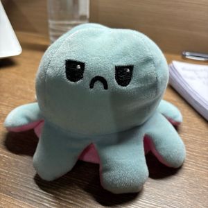 Octopus With Sad And Happy Side