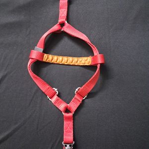 Small To Medium Size Dog Body Belt