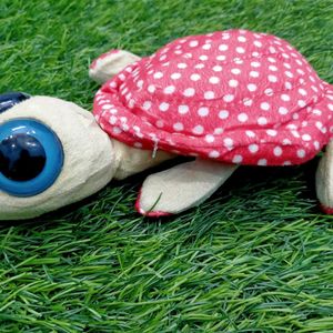 Turtle 🐢 Soft Toys