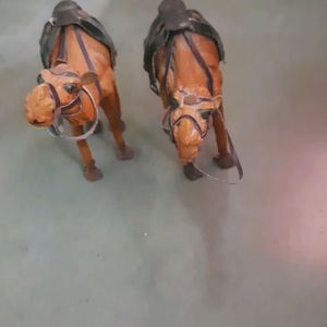 Camel Pair