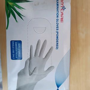 Examination Gloves (Powdered)