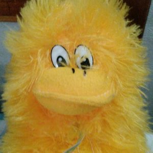 Yellow Duck Toy