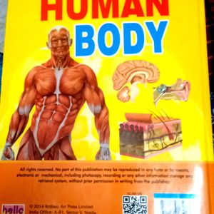 Encyclopedia Of Human Body (Rare To Find)