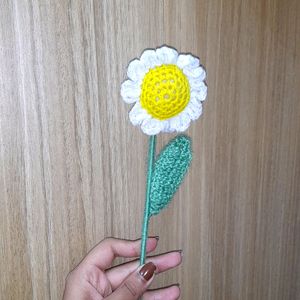 Crochet Daisy🌼