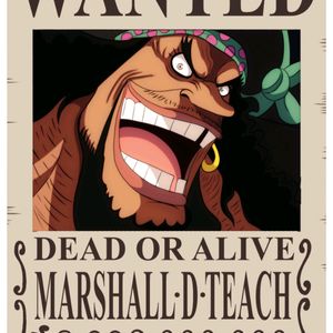 Pack Of 20 Wanted One Piece Anime Poster