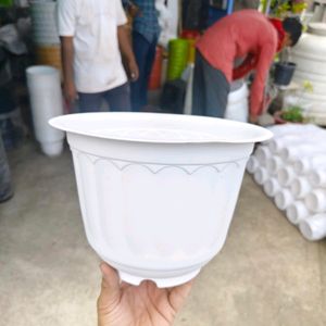 Jasmine Planting Pot (gamla)