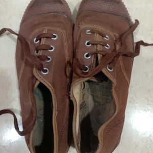 Brown Canvas Shoes