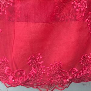 Red Net Saree