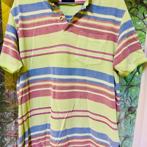 Parrot Colored MultiStripe Checked T-shirt