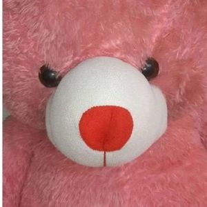 Big Pink Teddy