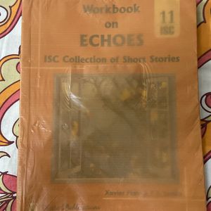 Workbook On Echoes