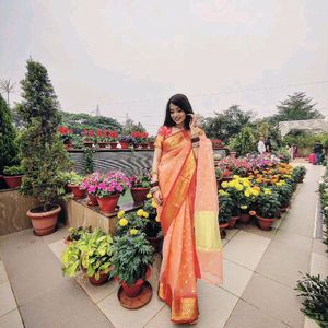 Organza peach Saree With Blouse