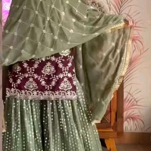 Festive Sharara Suit