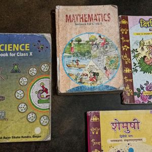 Class 10 All Syllabus