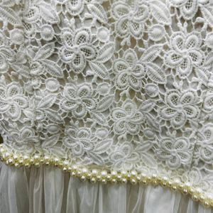White Net Full Length  Gown