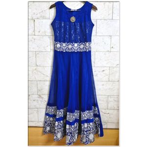 Paneri Anarkali Suit Set