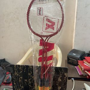 Badminton set with cock