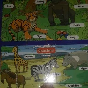 Kids Interesting Puzzle Game  ( 2 Sets)