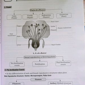 CBSE Biology Solved Papers 12th