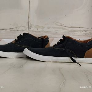 Formal/Casual Wear Shoes