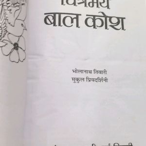 Hindi Dictionary Brand New