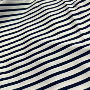 Blue N White Stripes Top