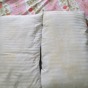 2pc Bombay Dyeing Ortho Pillow.