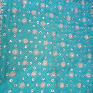Sky-blue Full Embroidery Partywear Saare
