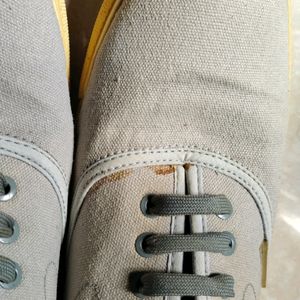 Jack And Jones Original Canvas Shoe- Small Stain