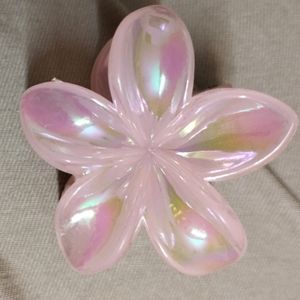 Small Flower Claw Clip, Combo Of 2