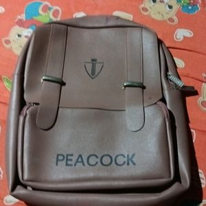 Brand New Backpack Purchase 2 Month Not Use