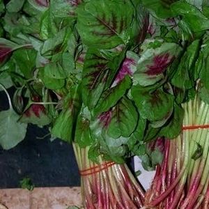 Datha Saag Vegitable Seeds Pack Of 1 5000 Seed