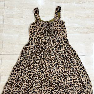 Animal Print Mid Knee Length Dress