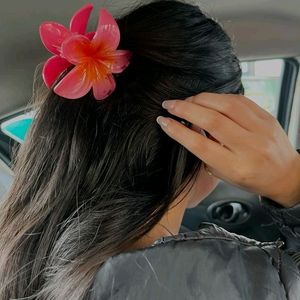 Flower Clips