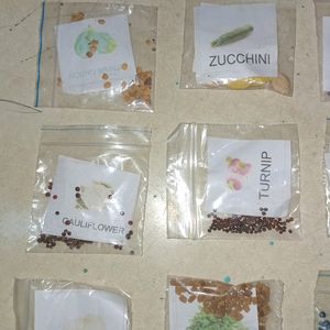 20 Variety Vegetable and Fruit Seeds Combo