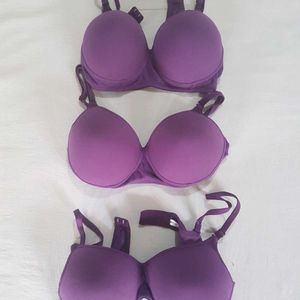 New Arrival: Premium Padded Bras in Size 36