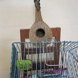 Artificial Nest For Birds