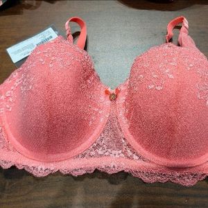 Zivame Premium Uphold: T-Shirt Bra