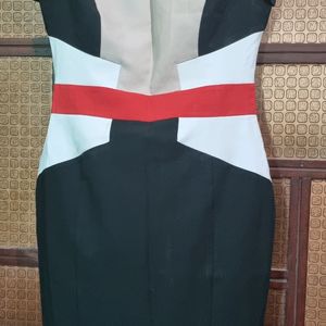 Bodycon Dress (Corporate Use )