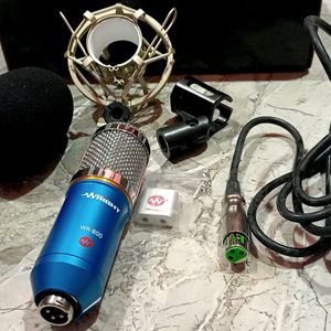 WR-800 Microphone with Stand combo