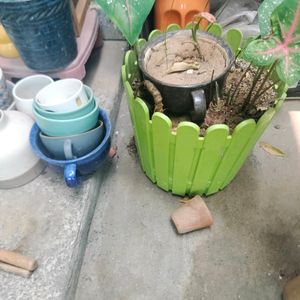 Ceramic And Plastic Pots