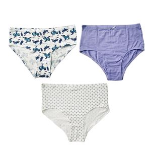 🎊Flat 72% Off🎊 Pack Of 3 Clovia Hipster Panty