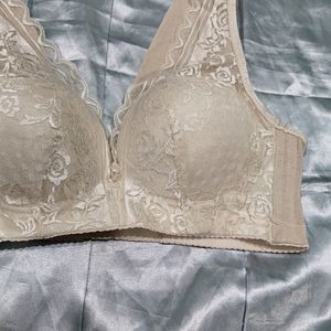 Imported Designer Corset Bra