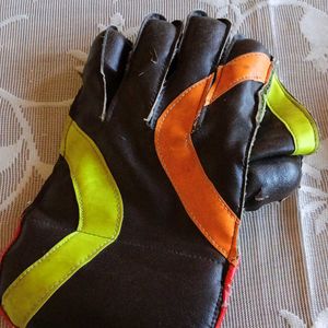 Wicket Keeping Gloves