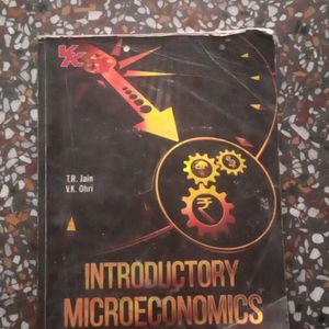Introductory Microeconomics Class 11