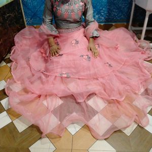 Net+Banarasi Lehnga Choli With Dupatta