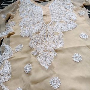 Nude Intricate Work Chikankari Kurta