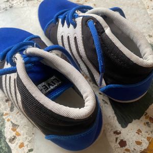 Shoes Blue Stylish